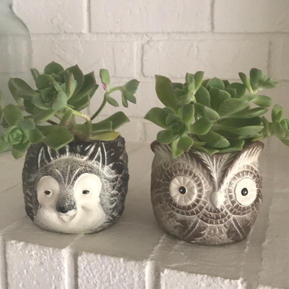 Adorable Animal Planters🦉New - Picture 3 of 13